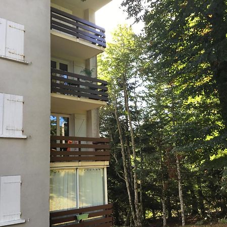 Apartament Lo Cantales D'Aubrac Laguiole Zewnętrze zdjęcie