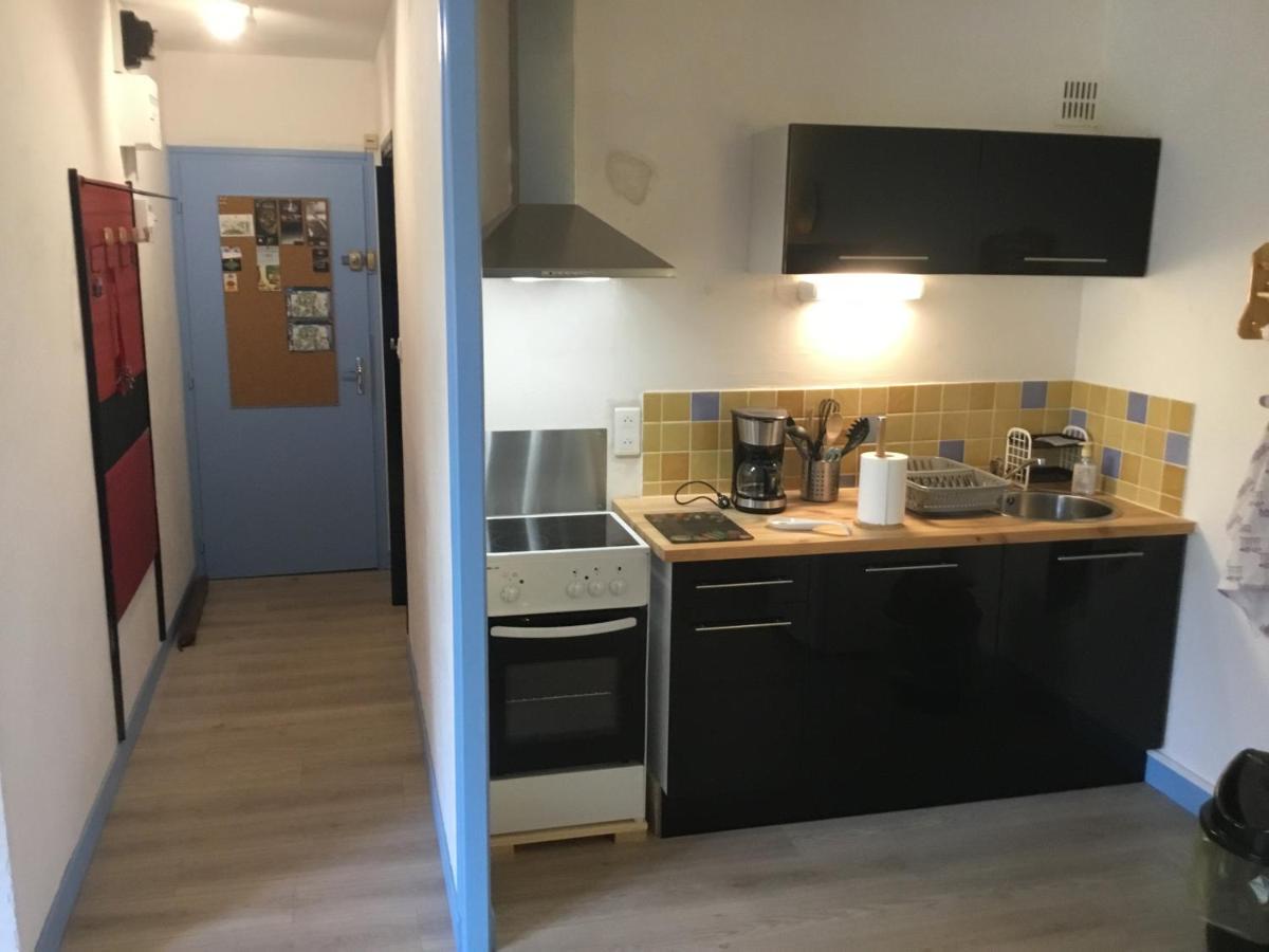 Apartament Lo Cantales D'Aubrac Laguiole Zewnętrze zdjęcie